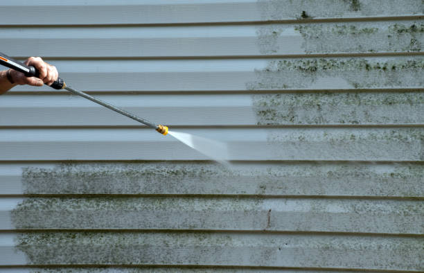 Best Exterior Home Cleaning  in Cosmopolis, WA